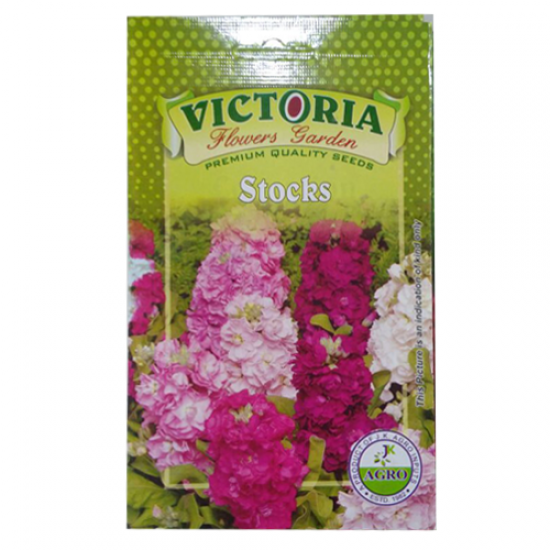 Victoria Stocks Flower Seed