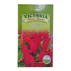 Victoria Salvia Flower Seed