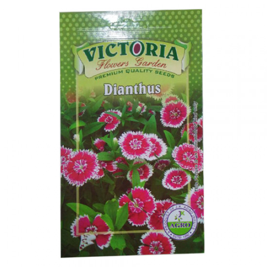 Victoria Dianthus Flower Seed