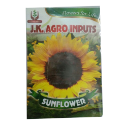 Sunflower Flower Seed