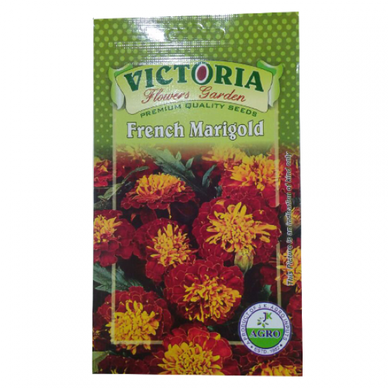 Victoria French Marigold Flower Seed