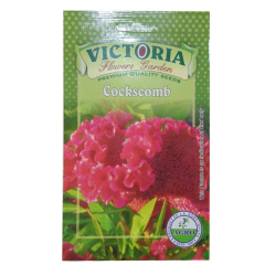 Victoria Clockscomb Flower Seed