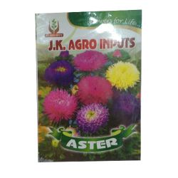 Aster Flower Seed