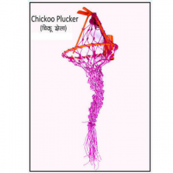 Chickoo plucker