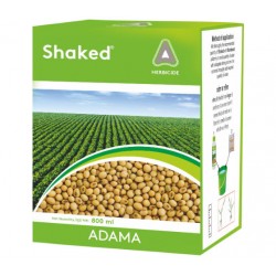 Adama-Shaked