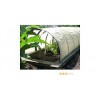 Agrosun 1.6 METER (5.25 FEET) X 400 METER X 20 GSM Crop Cover