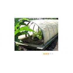 Agrosun 1.6 METER (5.25 FEET) X 400 METER X 20 GSM Crop Cover