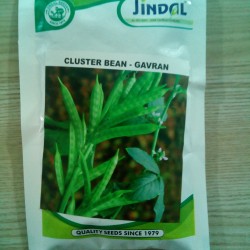 Jindal Cluster Seeds(guar Seeds) Gavran -100GM