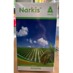 Adama NARKIS