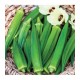 Bhindi (Okra) F1 Hybrid Vegetable Seeds