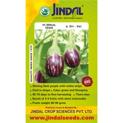 Jindal Brinjal Hybrid Seeds (baingan Seeds)-Kesar-10GM