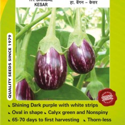 Jindal Brinjal Hybrid Seeds (baingan Seeds)-Kesar-10GM