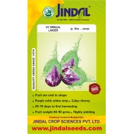  Jindal Brinjal Hybrid Seeds(baingan Seeds)-Lanser-10GM