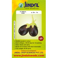 Jindal Brinjal Hybrid (baingan Seeds)-Raina-10GM