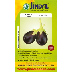 Jindal Brinjal Hybrid (baingan Seeds)-Raina-10GM