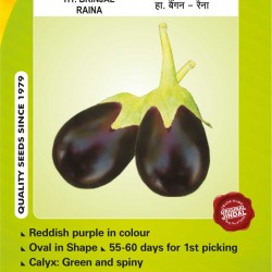 Jindal Brinjal Hybrid (baingan Seeds)-Raina-10GM
