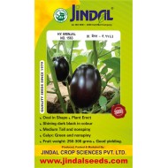 Jindal Brinjal Hybrid Seeds(baingan Seeds)-No.1563 -10GM