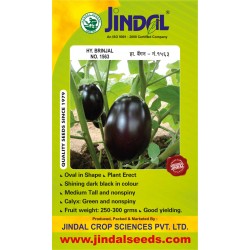 Jindal Brinjal Hybrid Seeds(baingan Seeds)-No.1563 -10GM