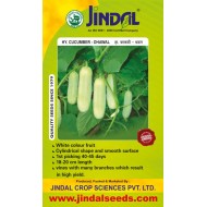 Jindal Cucumber Hybrid Seeds(kheera Seeds)-Dhawal-10GM