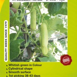 Jindal Cucumber Hybrid Seeds(kheera Seeds)-Rutuja-10GM