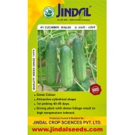 Jindal Cucumber Hybrid Seeds(kheera Seeds)-Shalini-10GM