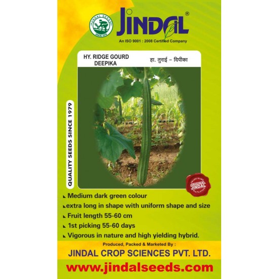 Jindal Ridge gourd Hybrid Seeds(Turee Seeds)-Deepika-50GM