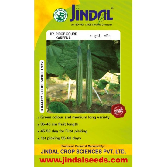 Jindal Ridge gourd Hybrid Seeds(turee Seeds)-Karina -50GM