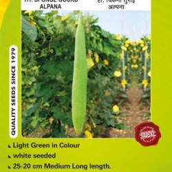 Jindal Sponge gourd  Hybrid Seeds(Spanj Laukee Seeds)-Alpana-50GM