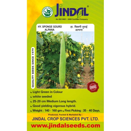 Jindal Sponge gourd  Hybrid Seeds(Spanj Laukee Seeds)-Alpana-50GM