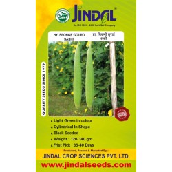 Jindal Sponge gourd  Hybrid Seeds(Spanj Laukee Seeds)-Sashi -50GM