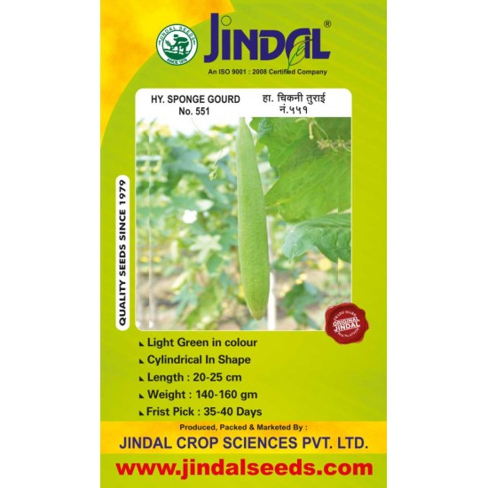 Jindal Sponge gourd  Hybrid Seeds(Spanj Laukee Seeds)-No . 551 -50GM