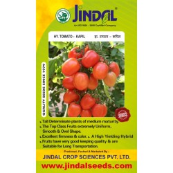 Jindal Tomato Hybrid Seeds, Kapil-10GM