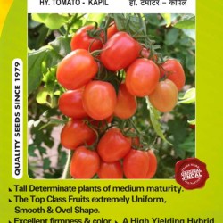 Jindal Tomato Hybrid Seeds, Kapil-10GM