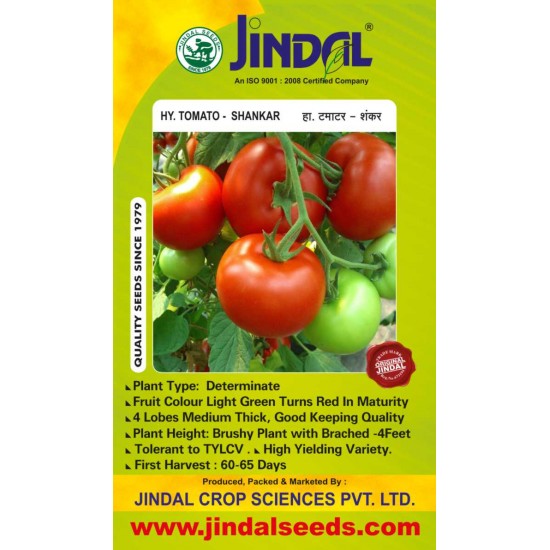 Jindal Tomato Hybrid Seeds, Shankar-10GM