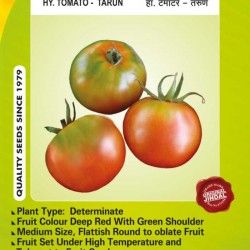 Jindal Tomato Hybrid Seeds, Tarun -10GM