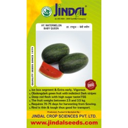 Jindal Watermelon Hybrid Seeds(Tarabooj Seeds) Baby queen-10GM