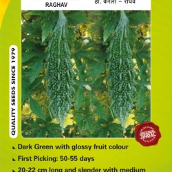 Jindal Bitter Gourd Hybrid  Seeds(karela Seeds)-Raghav-50GM