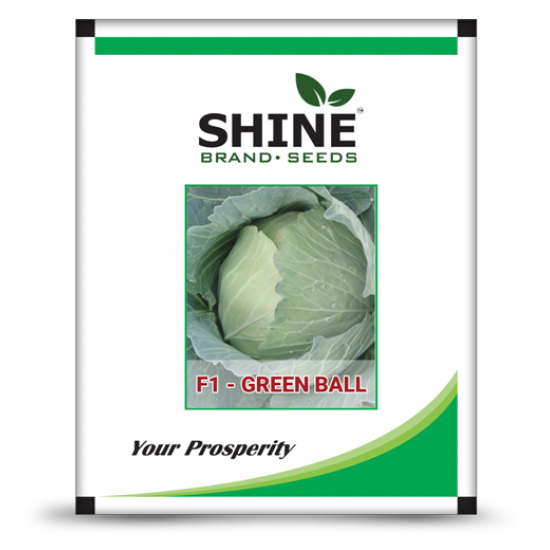 Cabbage F1-Green Ball-10 gram