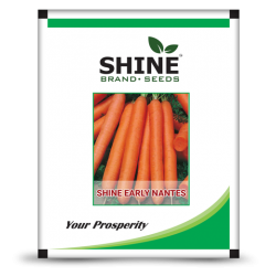 Carrot -Shine Early Nantes- 50 gram