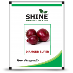 Onion - Diamond Super (500 GM )