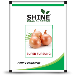 Onion - Super Fursungi