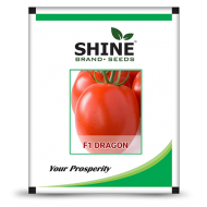Hybrid Tomato Seeds - F1 Dragon (10GM) (DRAGON01)