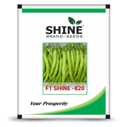 Chilli - F1 Shine - 820- 10 GRAM